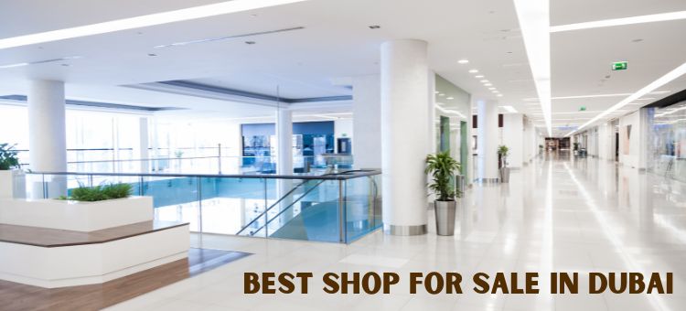 Best Shop for Sale in Dubai