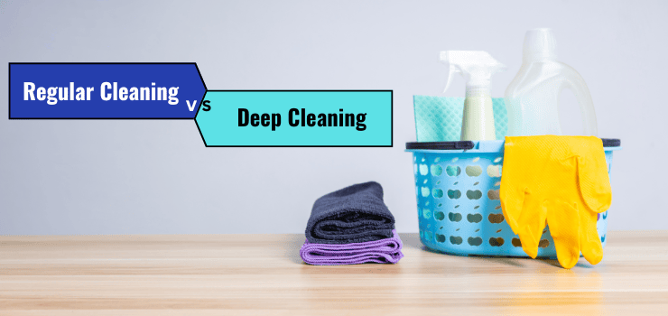 Deep Cleaning vs. Regular Cleaning